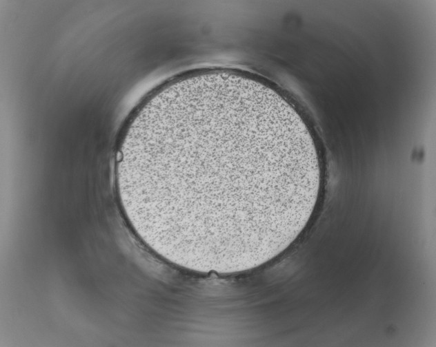 X0000111871320200909031806