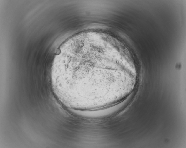 X0000111871321200909031806