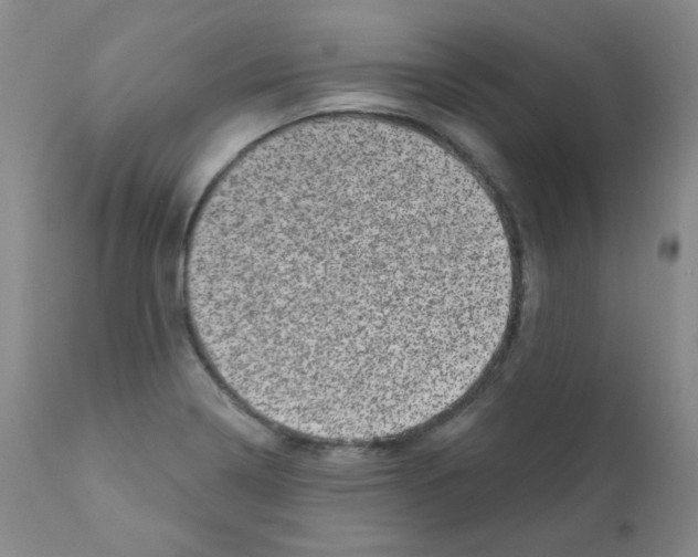 X0000111871322200909031806