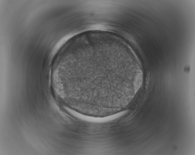 X0000111871323200909031806