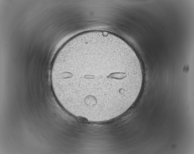 X0000111871324200909031806