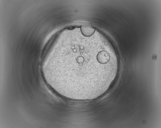 X0000111871325200909031806