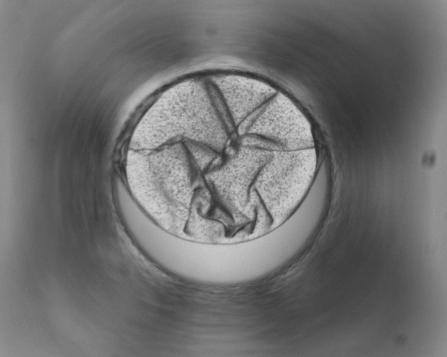 X0000111871326200909031806