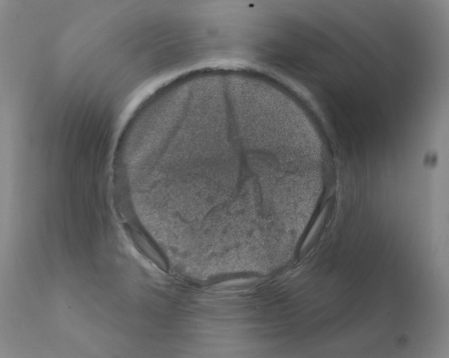 X0000111871327200909031806