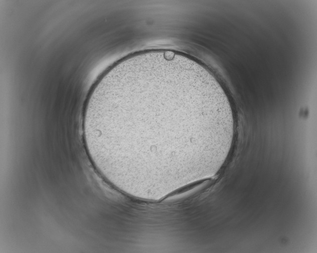 X0000111871328200909031806