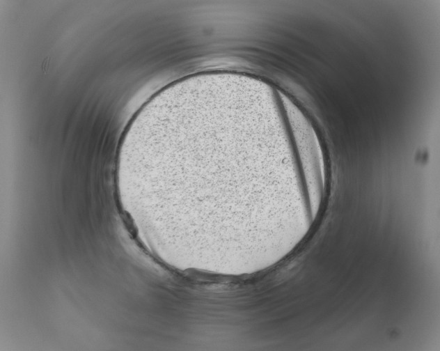 X0000111871330200909031806