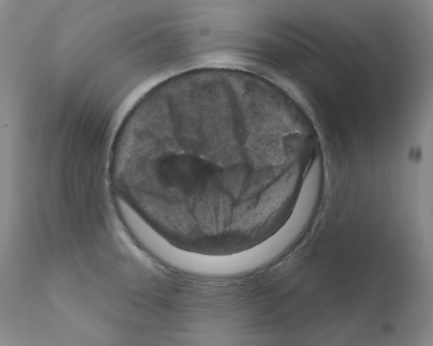 X0000111871331200909031806