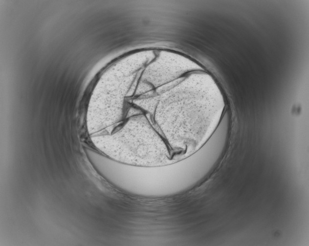 X0000111871332200909031806