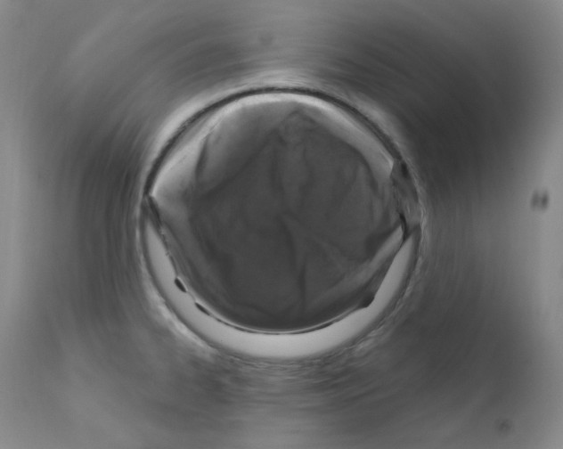 X0000111871334200909031806