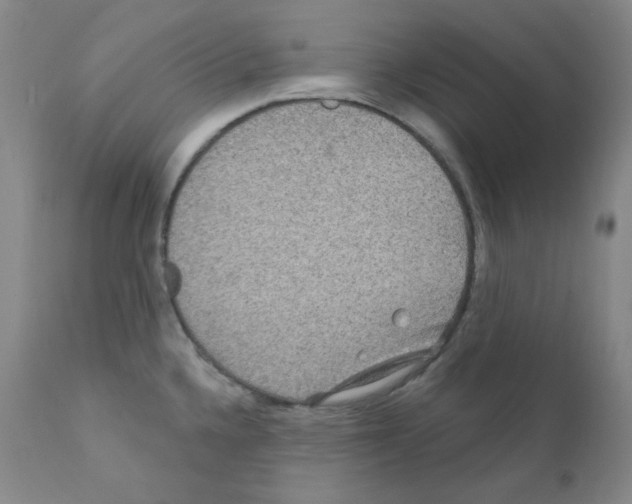 X0000111871336200909031806