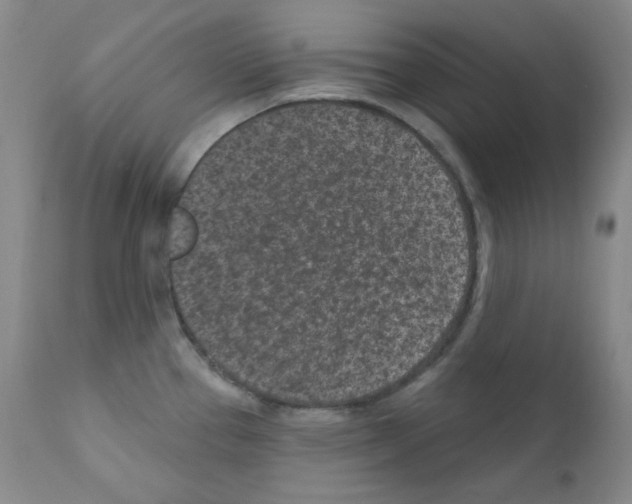 X0000111871337200909031806