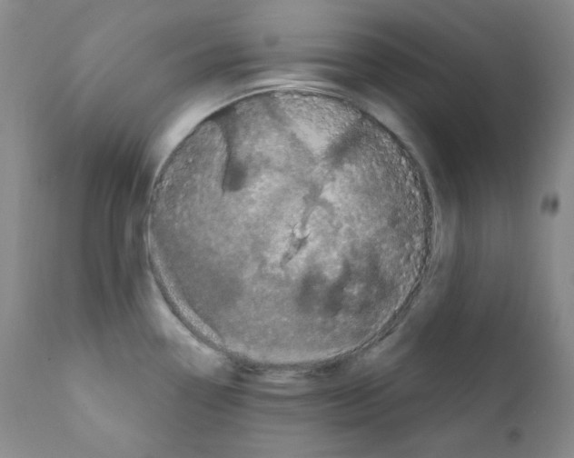 X0000111871338200909031806