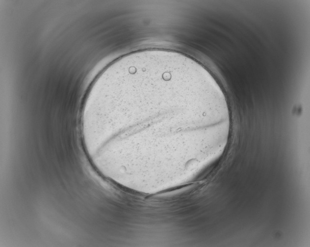 X0000111871339200909031806