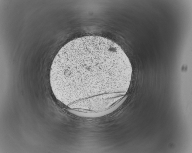 X0000111871345200909031806