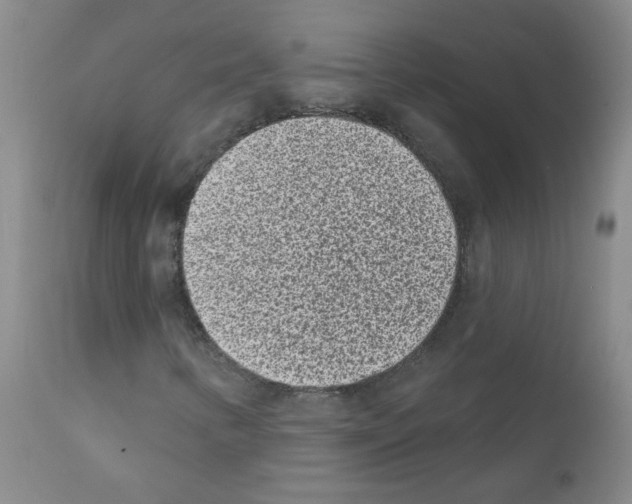 X0000111871346200909031806