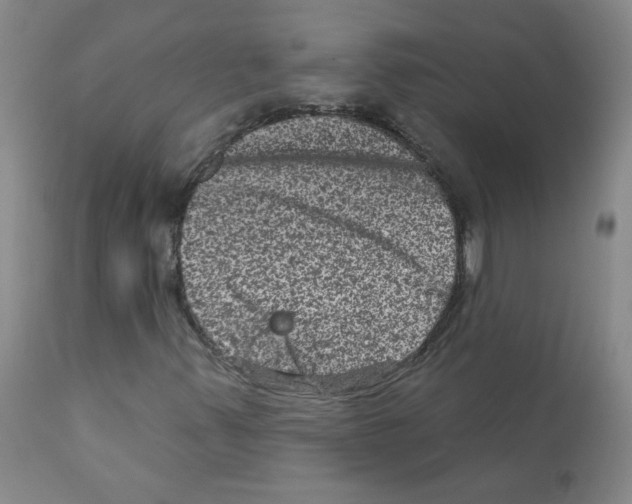 X0000111871347200909031806