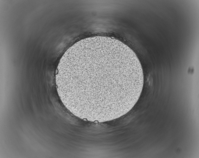 X0000111871348200909031806