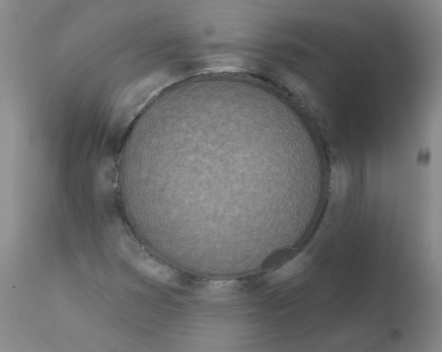 X0000111871353200909031805