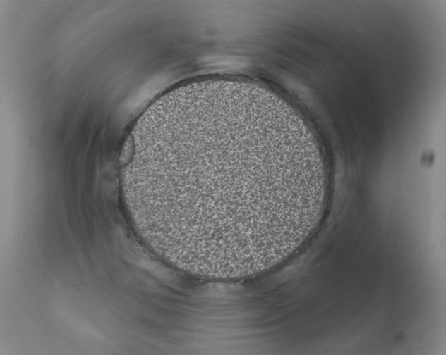 X0000111871354200909031805