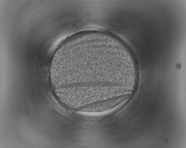 X0000111871355200909031805