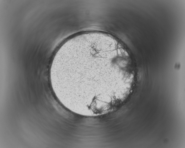 X0000111871356200909031805