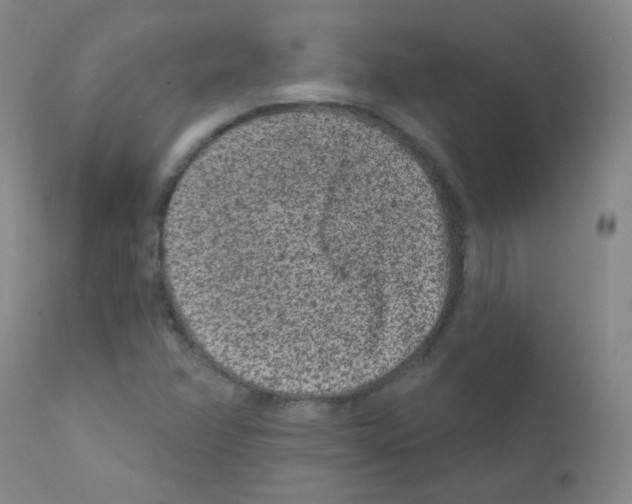 X0000111871358200909031805