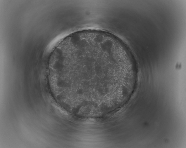 X0000111871359200909031805