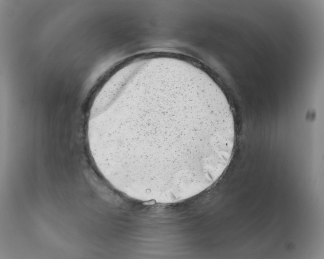 X0000111871360200909031805