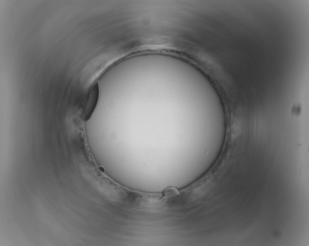 X0000111871361200909031805