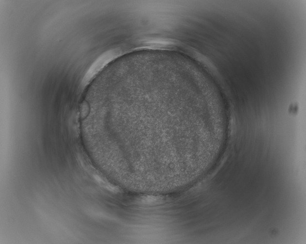 X0000111871362200909031805