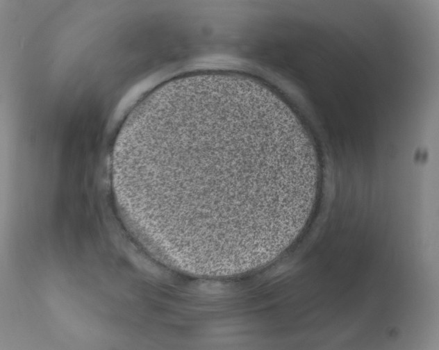 X0000111871366200909031805