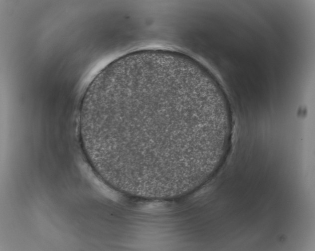 X0000111871367200909031805