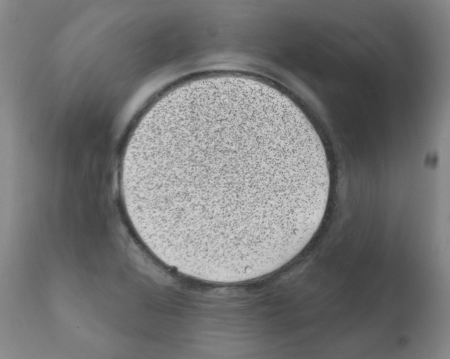 X0000111871368200909031805