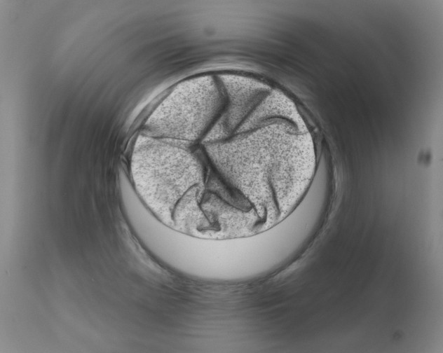 X0000111871369200909031805