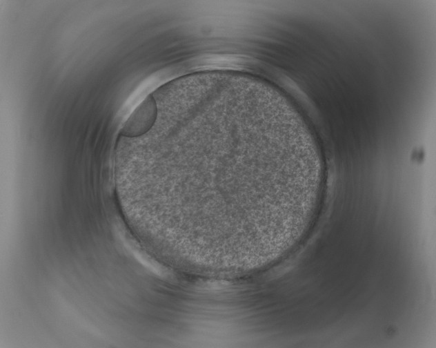 X0000111871370200909031805