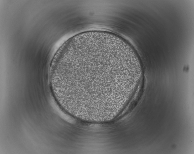 X0000111871371200909031805