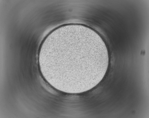 X0000111871372200909031805