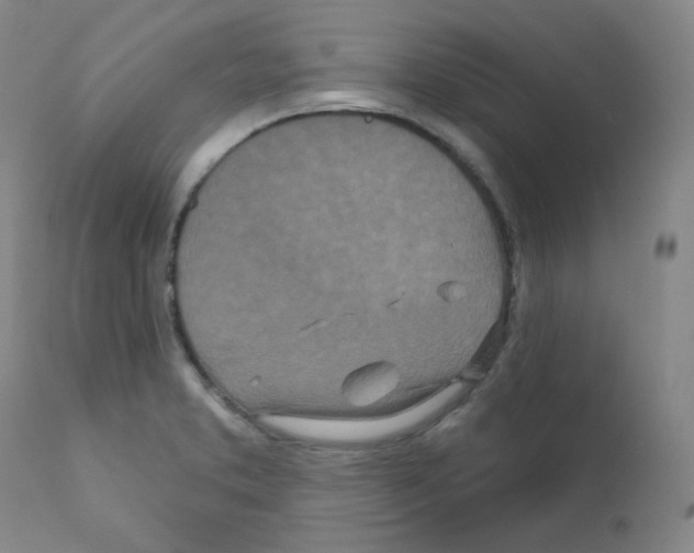 X0000111871373200909031805