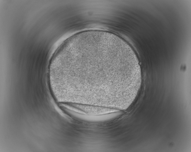 X0000111871379200909031805