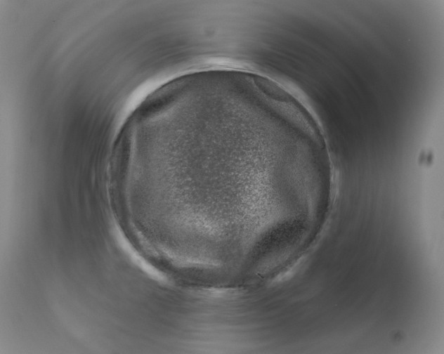 X0000111871381200909031805