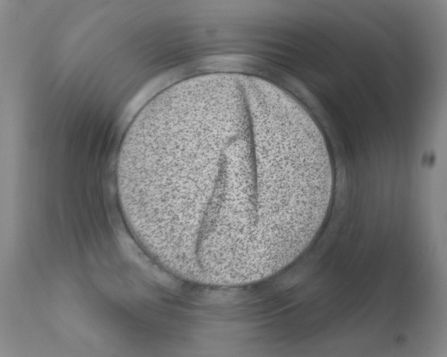 X0000111871386200909031805