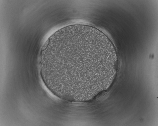 X0000111871391200909031805