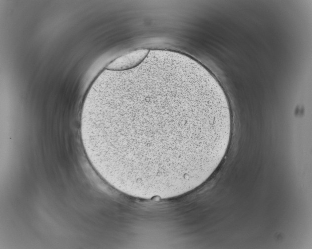 X0000111871392200909031805