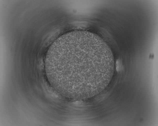 X0000111871395200909031804