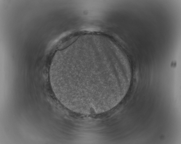 X0000111871398200909031804