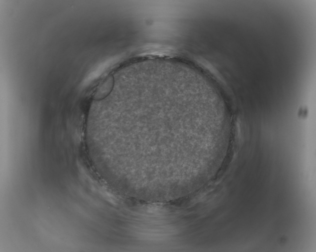 X0000111871399200909031804