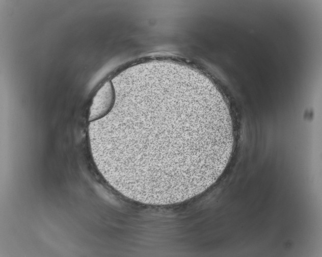 X0000111871400200909031804