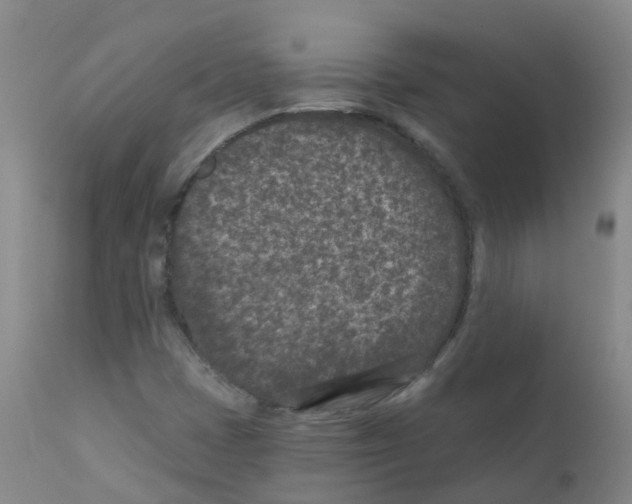 X0000111871401200909031804