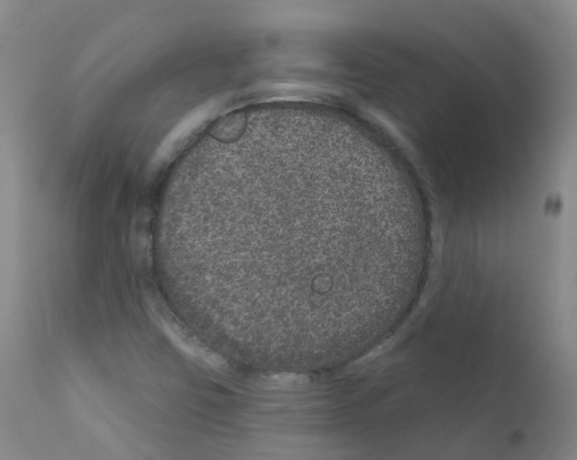 X0000111871403200909031804