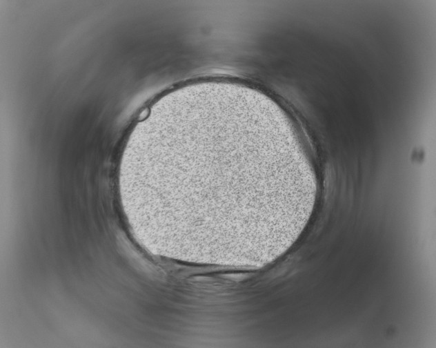 X0000111871404200909031804